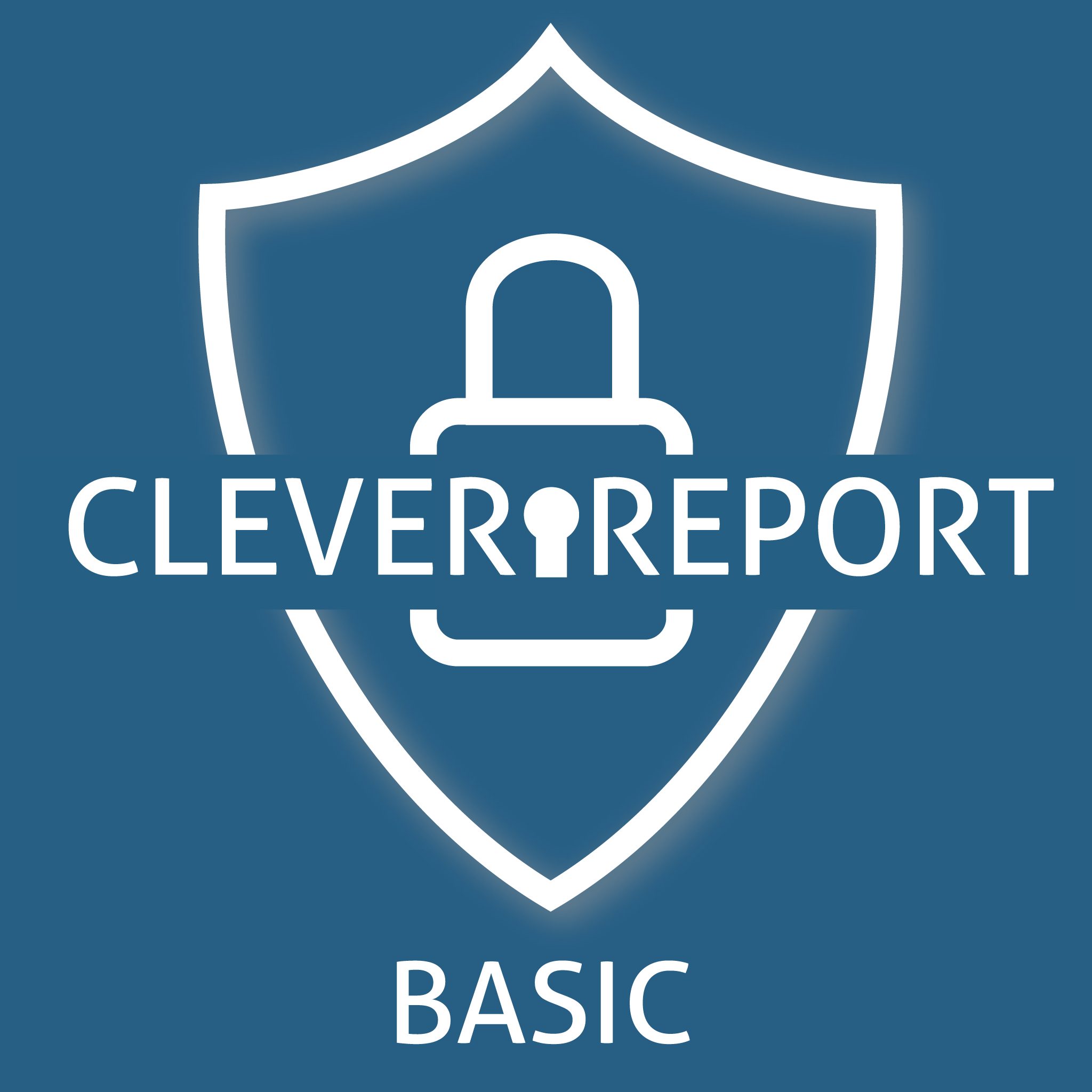 CLEVERREPORT - Basic